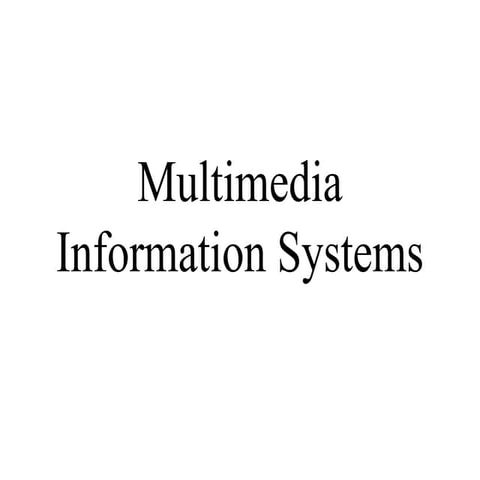 Multimedia Information Systems in Information Technology