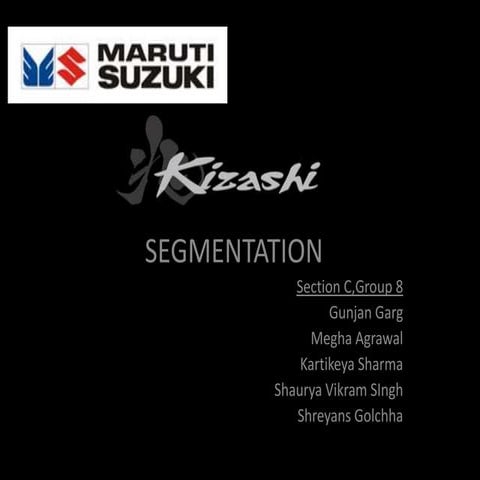 Maruti Suzuki Kizashi : Segmentation