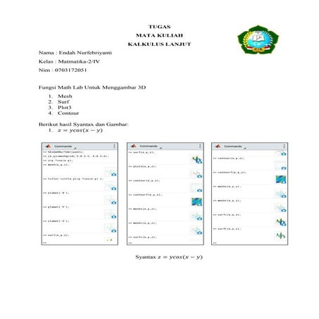 Fungsi Math Lab Untuk Menggambar 3D 