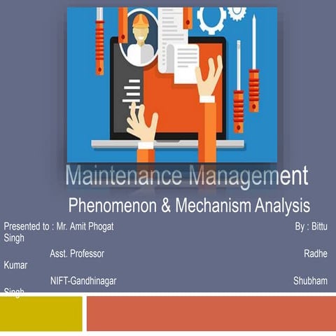Phenomenon & Mechanism Analysis