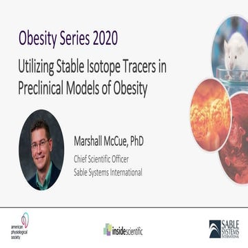 Utilizing Stable Isotope Tracers in Preclinical Models of Obesity