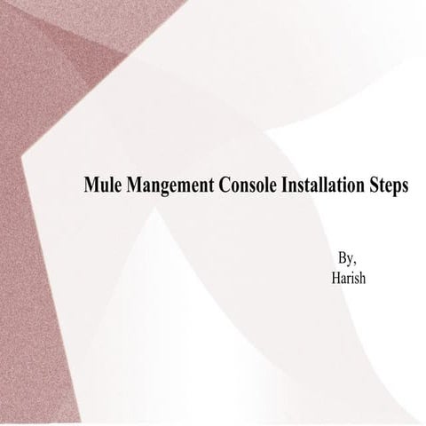 Mule management console installation steps