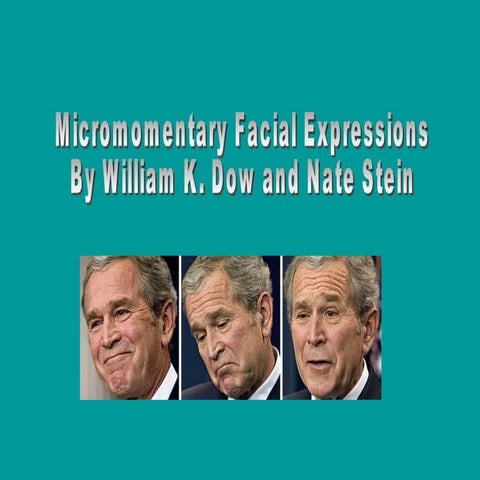 Micromomentary Facial Expressions | PPT