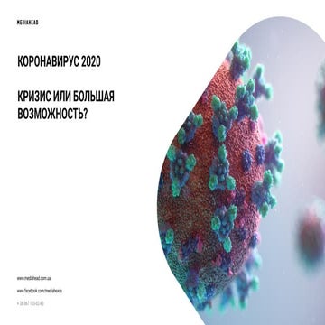 Коронавирус 2020 - кризис или большая возможность для Украины