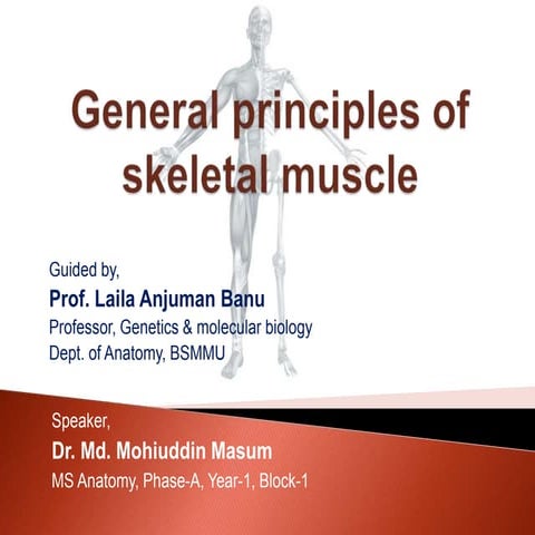 General principles of skeletal muscle