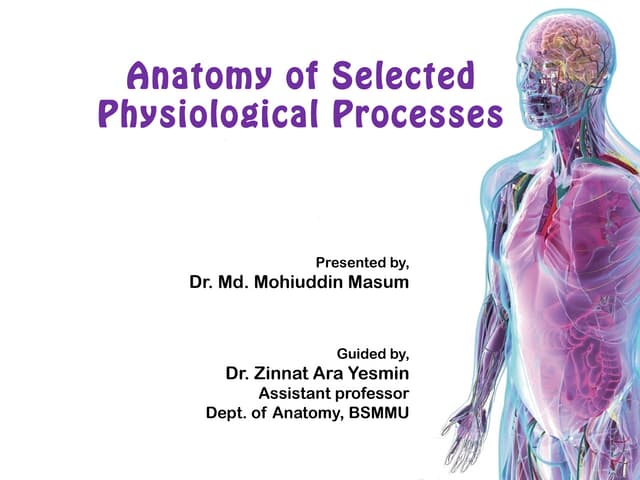 Anatomy of Selected Physiological P...