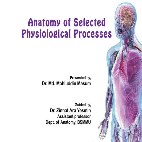 Anatomy of Selected Physiological Processes