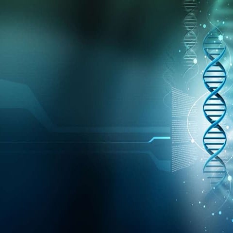 DNA Extraction and Quantity-Quality Check