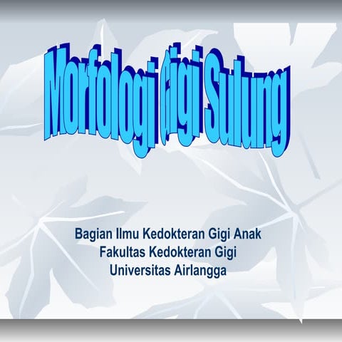 Mmp morfologi gigi sulung