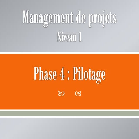 Management de projets (Cours Niveau 1) : Phase 4 Pilotage