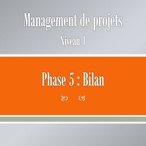 Management de projets (Cours Niveau 1) : Phase 5 Bilan