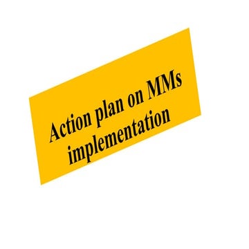 Comprehensive Action Plan for MMS Program Implementation in Maternal ...