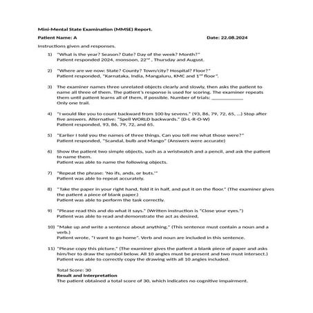 Mini Mental Status Examination Test Report