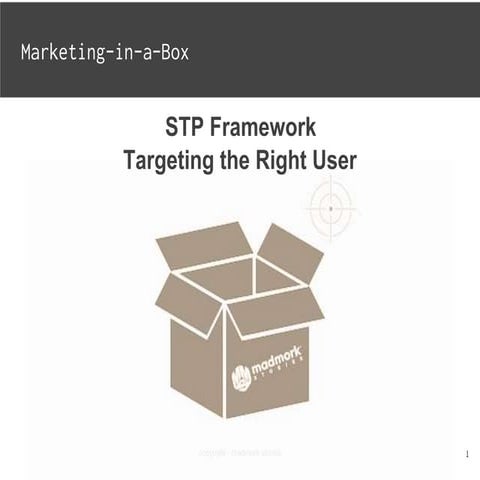 MMS STP framework: How to Reach the Right Customer
