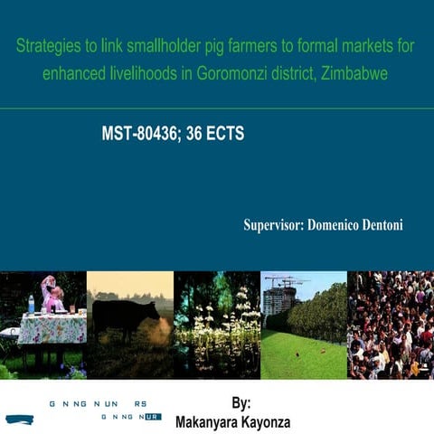 Strategies to link smallholder farmers to markets in Zimbabwe