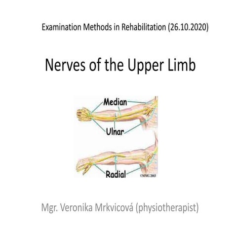 MMT__4__Nerves_of_the_upper_limb and all Data