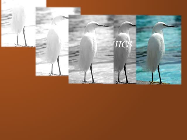 Image & Graphics