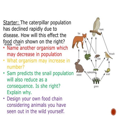 MN---Ecosystems.pptx ecosystem ecosystems