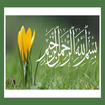 Impact of exotic Species On Local Climate