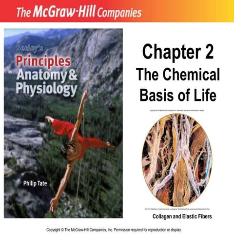 2_Chemical_Basis.ppt