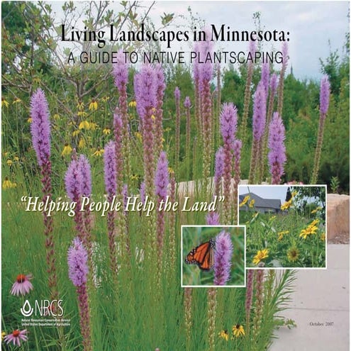 Living Landscapes in Minnesota: A Guide To Native Plantscaping - Minnesota NRCS