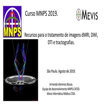 MNPS: Mevis Neurosurgery Planning System. Overview. | PDF