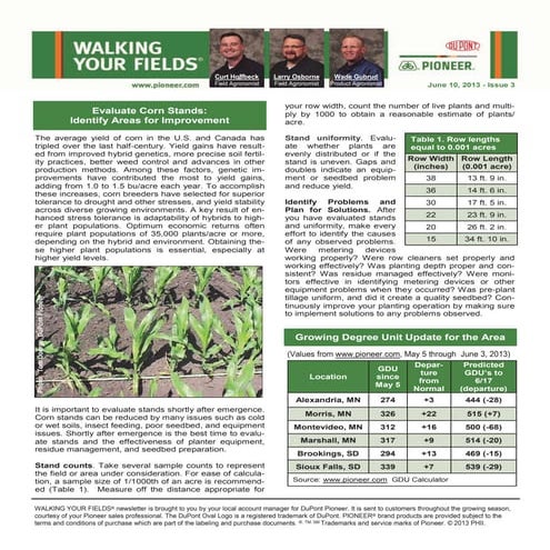 High-Yield Corn Production | PPTX