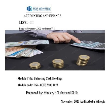 MO-06-Balancing Cash Holdings - Copy.ppt