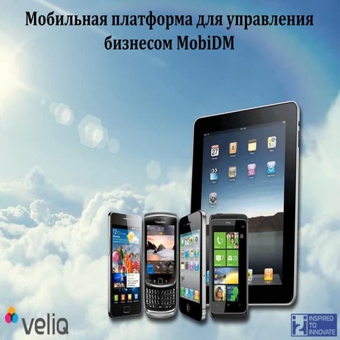 Мобильная платформа для управления бизнесом MobiDM