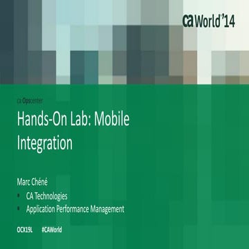 Hands-On Lab: Mobile Integration