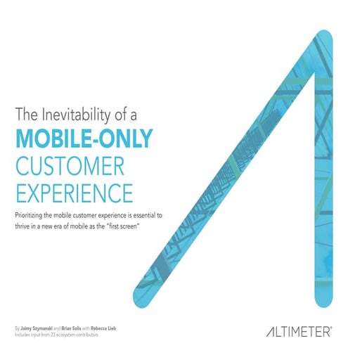 Mobile Only Customer Experience