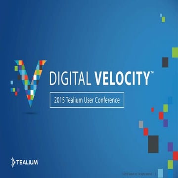 "Mobile Deployments Demystified" - Luxottica + Tealium, Digital Velocity 2015