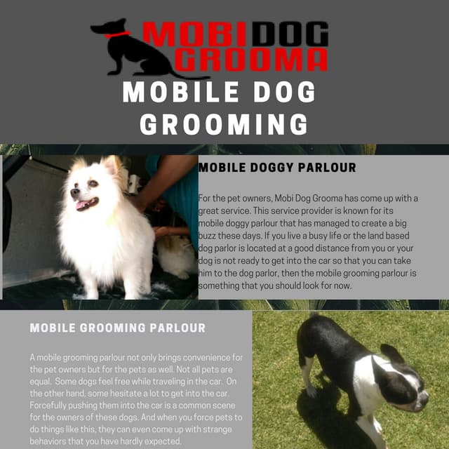 DOG AND CAT GROOMING MANUAL PDF visual data 5