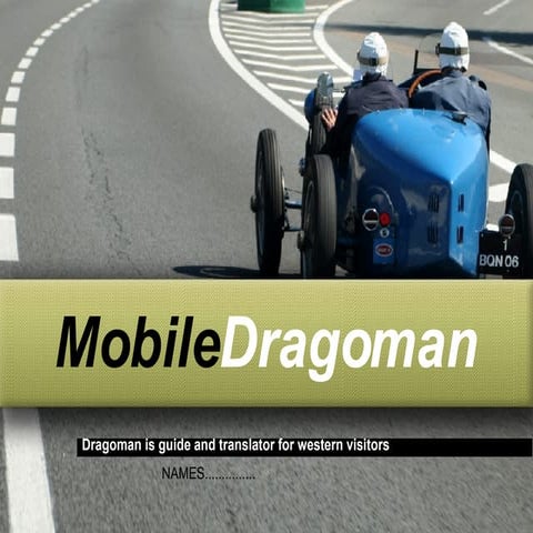 MobileDragoman's Business Plan Presentation