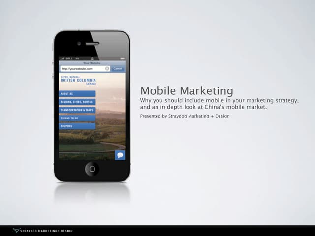 Mobile Marketing & China's Market, by Straydog