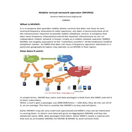 Mobile virtual network operator MVNO
