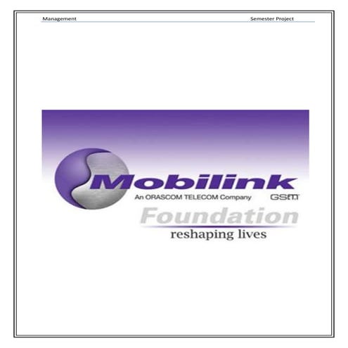 Mobilink project