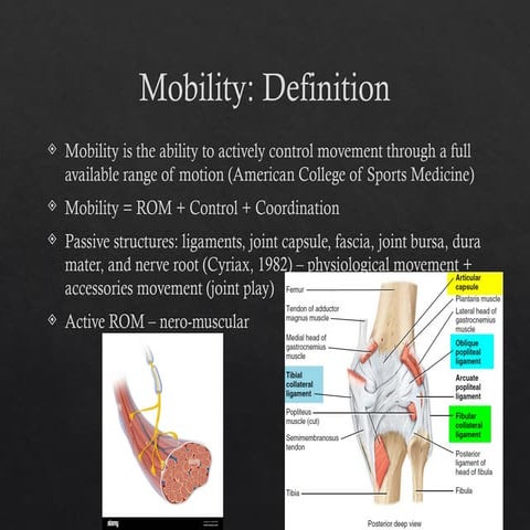 Comprehensive Guide to Mobility: Assessment, Limitations, and Solutions ...