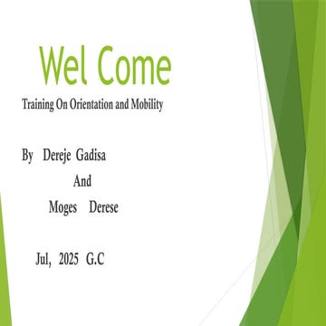 capacity building training on mobility and orientation