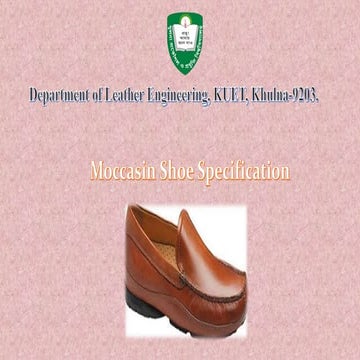 Moccasin shoe