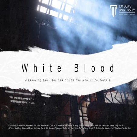 Sin Sze Si Ya Temple Report