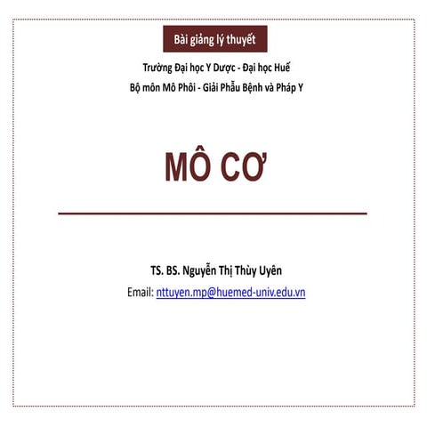 Comprehensive Theoretical Lecture on Muscle Tissue Structure and ...