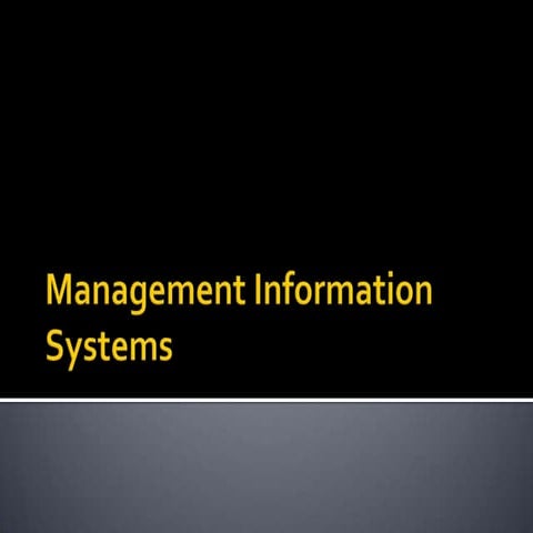 management information system | PPT