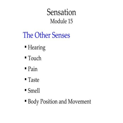 Mod 15   the other senses