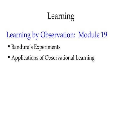 Mod 19 learning by observation