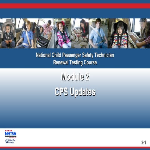 Child Passenger Safety In Car | PDF