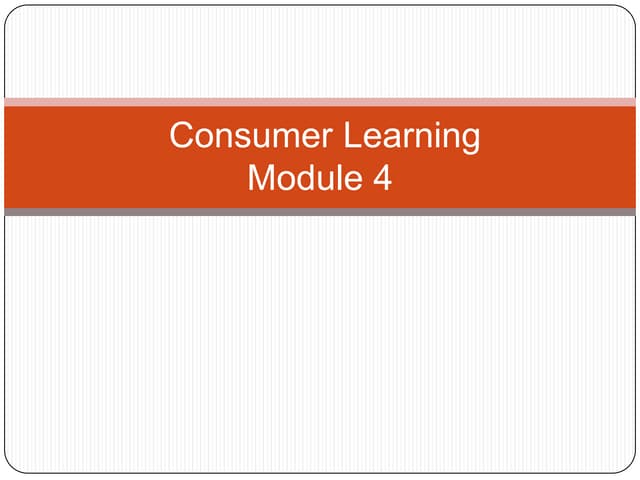  consumer behaviour learning 