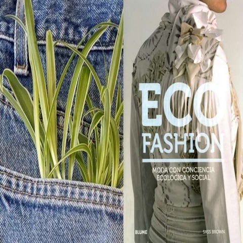 Moda ecológica (contaminación en las aguas residuales por parte de las indust...