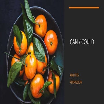 modals-can-could-flashcards-grammar-drills_130388.pptx