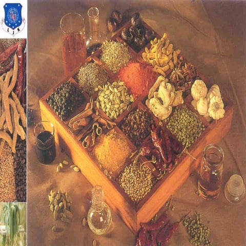 Indian spices.Bhojani Bhautik